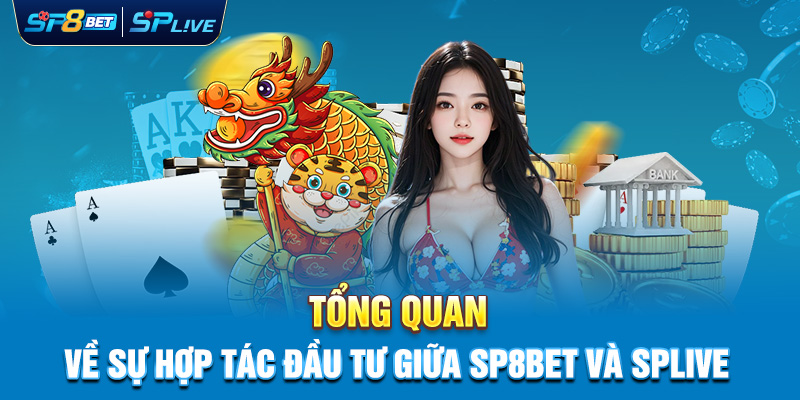 Tổng Quan Về Sự Hợp Tác Đầu Tư Giữa SP8BET và SPLIVE